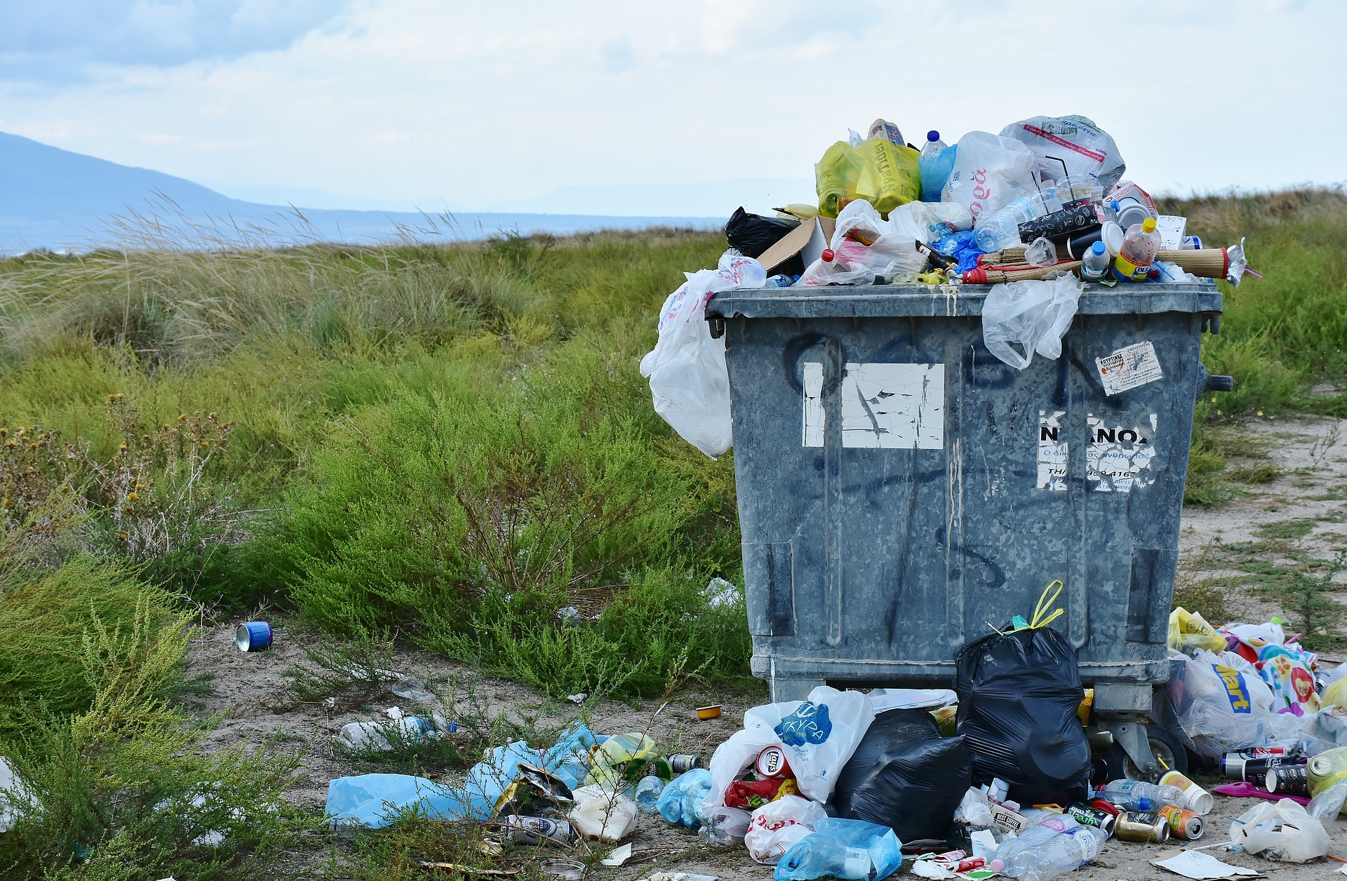 can dog poop go in green bin ottawa